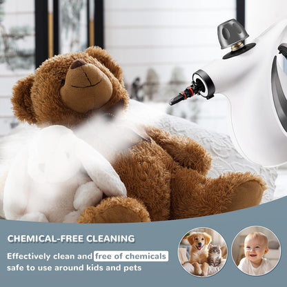 Handheld Steam Cleaner, Portable Steamer with Large Capacity,11-Piece Accessory Set for Floor, Car, Carpet, Upholstery, Couch, Tile, Windows Cleaning (Grey)
