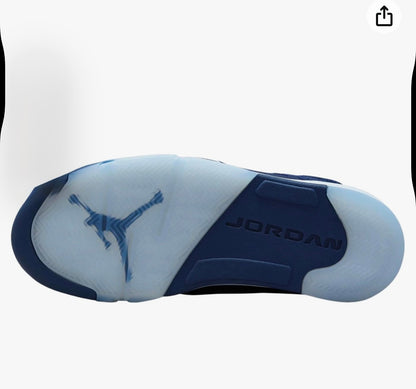 Nike Men's Air Jordan 5 Retro SE Shoes